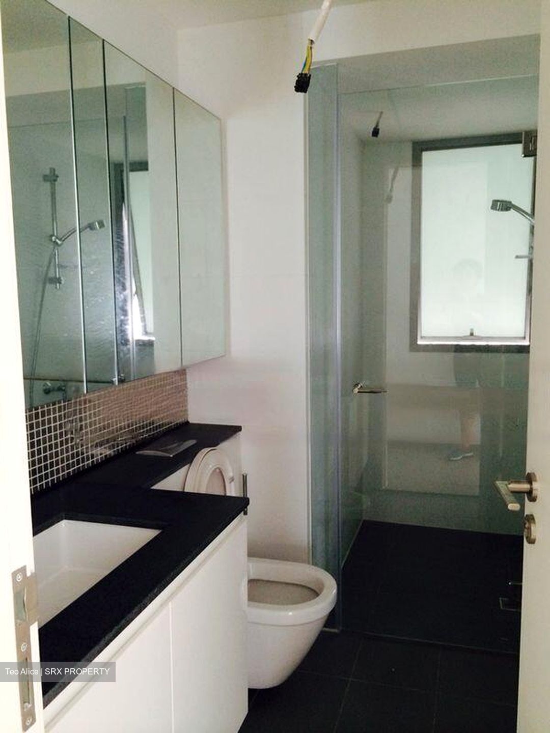 The Minton (D19), Condominium #425825071